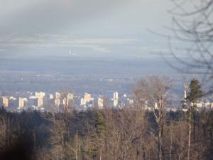 IMG_20251230_095517_ (10).JPG